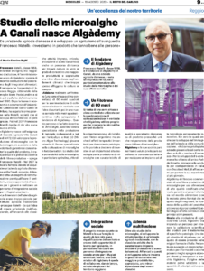 Article featuring Algademy’s algae farms and Ambralight’s role in growing algae, algae growth, and advanced plants research applications.
