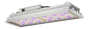 Elettra grow light LED for plants with custom LED lighting, ideal for greenhouse lighting and indoor plant growing lights