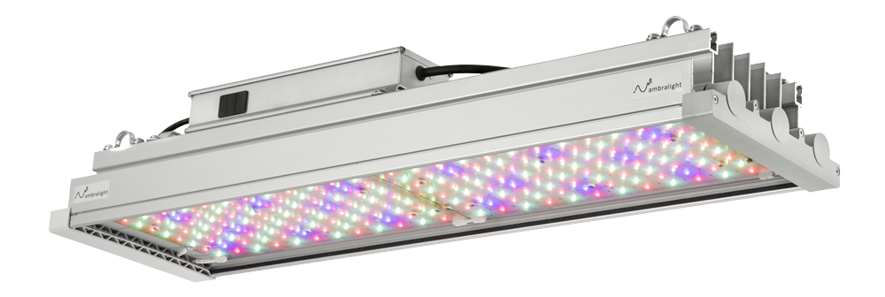 Elettra grow light LED for plants with custom LED lighting, ideal for greenhouse lighting and indoor plant growing lights