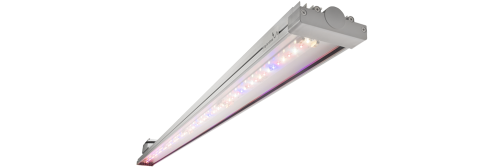 AE100 led grow light for plants: high led efficiency with Osram LEDs for plants growth