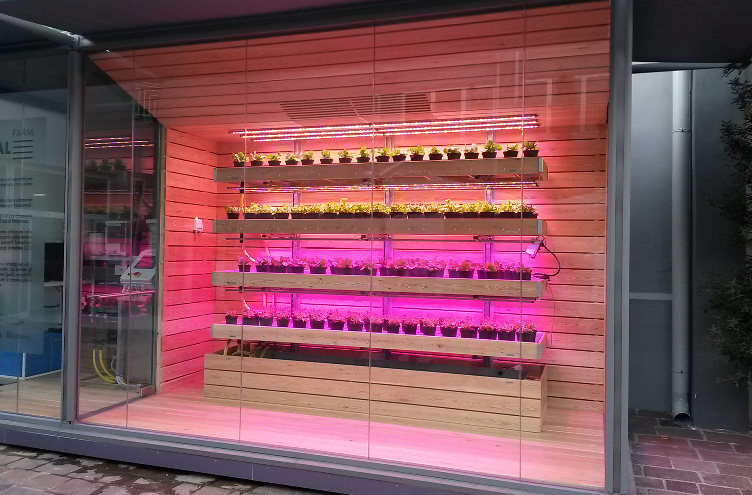 Vertical farming systems with University of Verona with Ambralight growing lights supporting plants growth and the study of plants.
