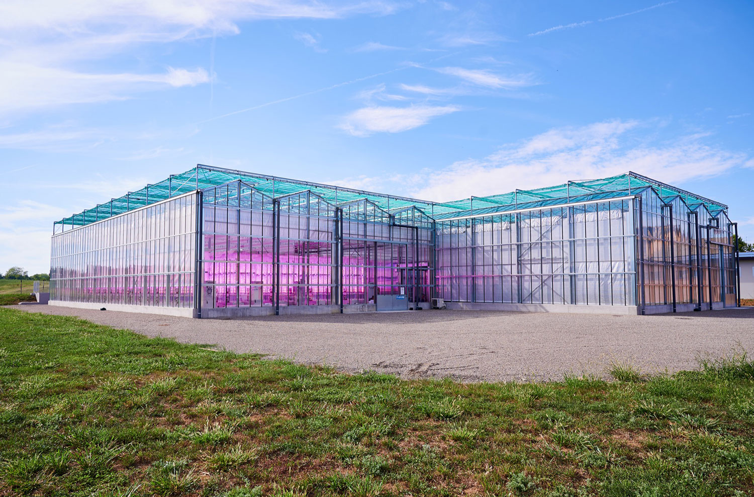 Exterior view of Mat 2.0 building showing Ambralight algae lamps lit inside, producing violet algae light for algae growth.