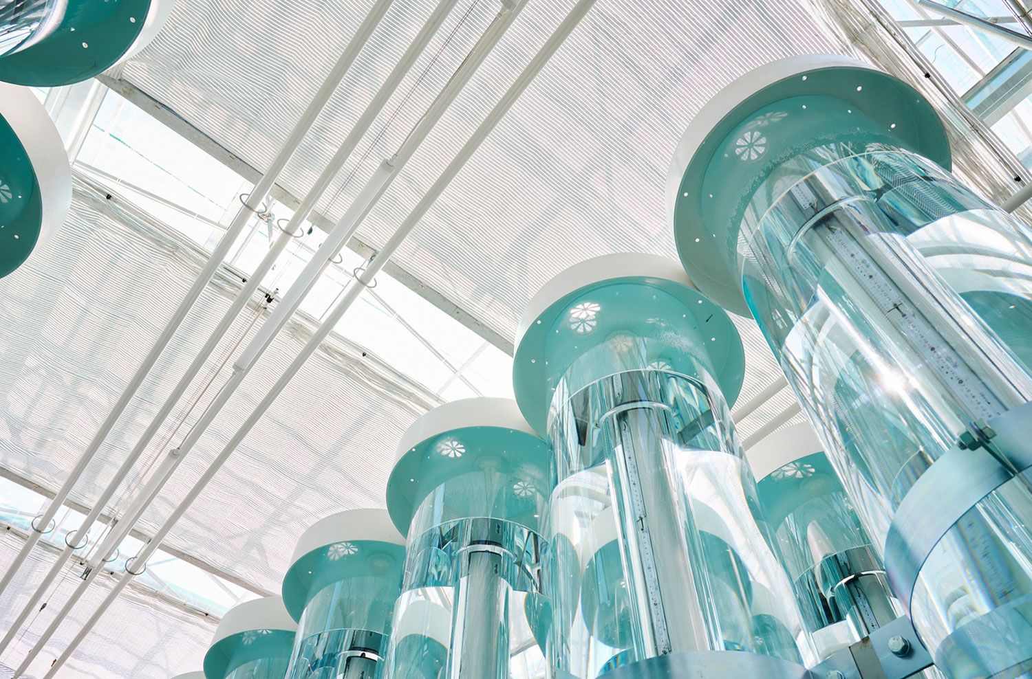 Mat 2.0 algae bioreactor with Ambralight's LED grow lamps for algae growth in algae farms