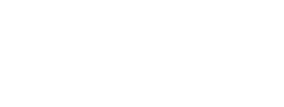Solutions white icons