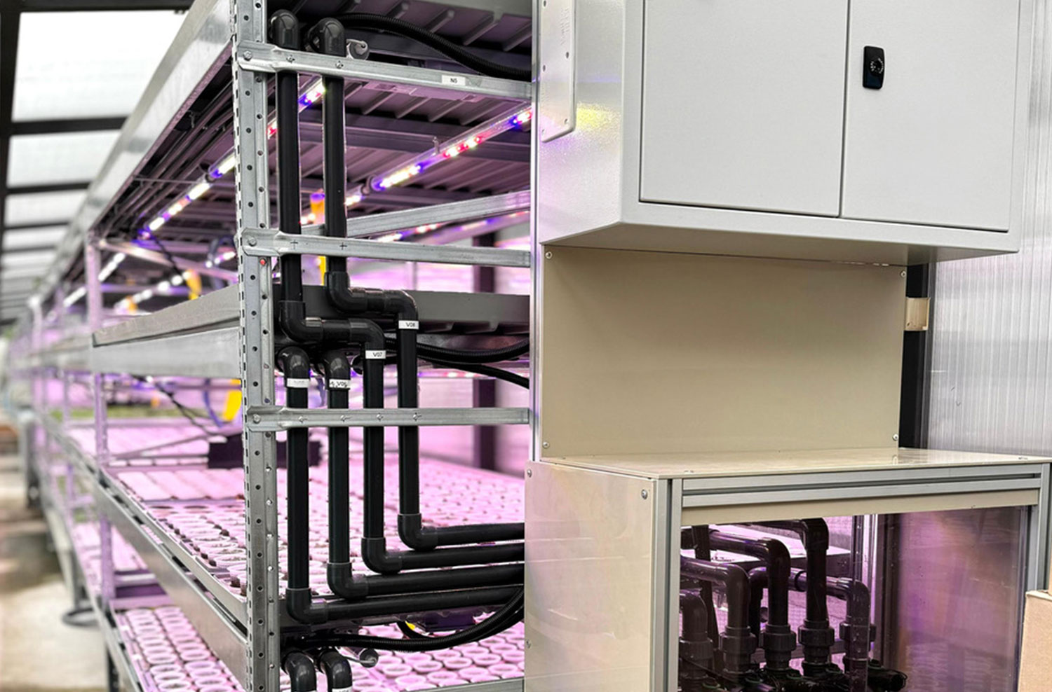 Ambralight LED lamps on plants shelves in indoor vertical farming, for efficient plants growth in aeroponic system.