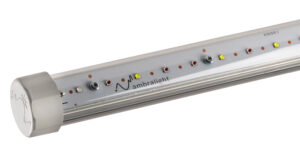Aquila-multicanale-lampada-particolare