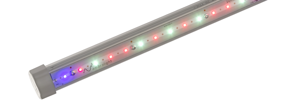 Aquila Multicanale, luce LED per piante di Ambralight: lampade LED per piante, per vertical farming e ricerca sulle piante