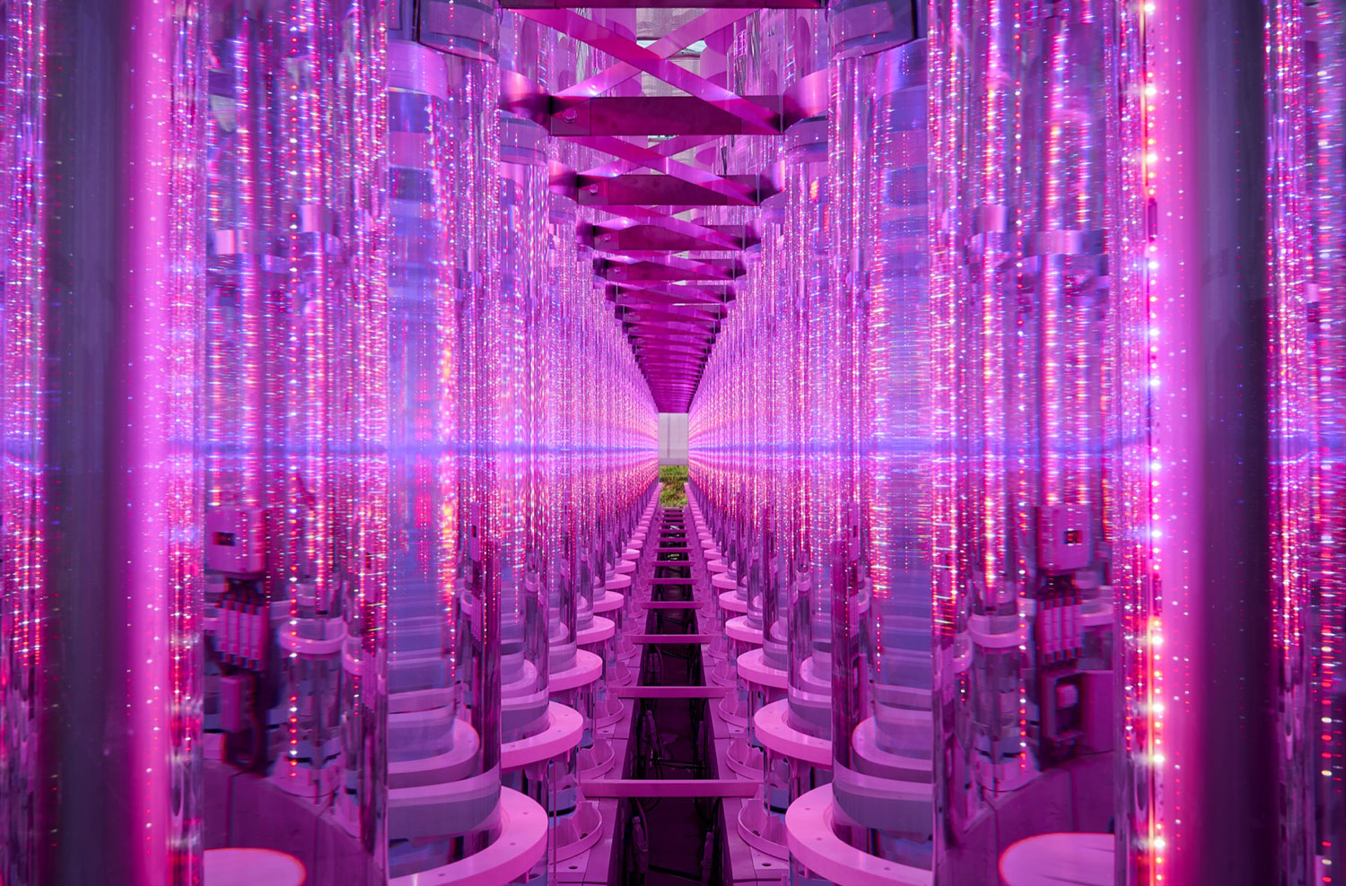 Fotobioreattori microalghe Mat 2.0, coltivazione alghe commestibili e alghe alimentari, illuminotecnica LED grow light