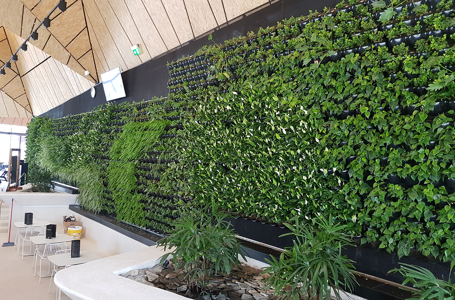 Lampade LED per piante in giardini verticali interni e piante indoor senza luce, luce artificiale e illuminotecnica LED.