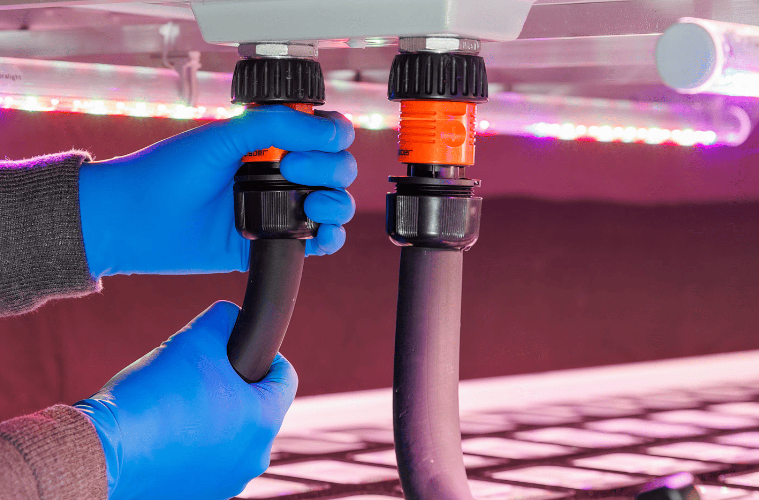 Attacco di corrente del sistema di illuminazione LED per vertical farming e coltivazione idroponica indoor