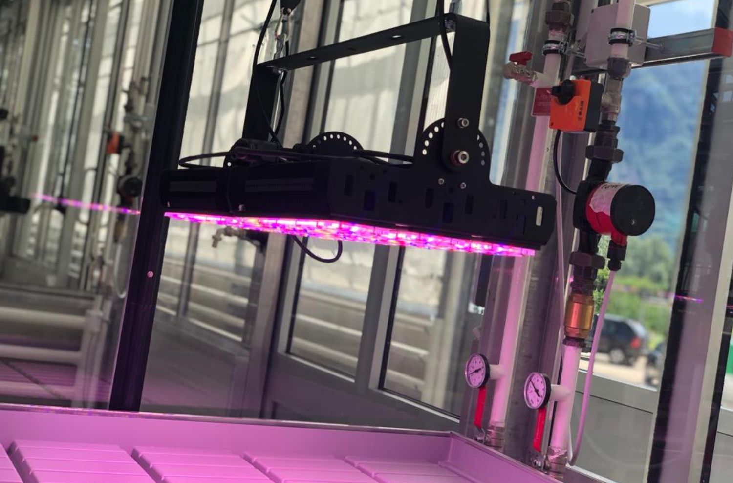 Lampade led per piante di Ambralight accese, luce personalizzata per la coltivazione